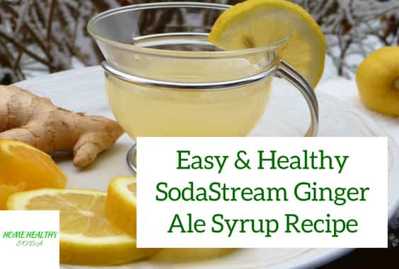 Healthy Sodastream Ginger Ale Syrup Recipe With Video Home